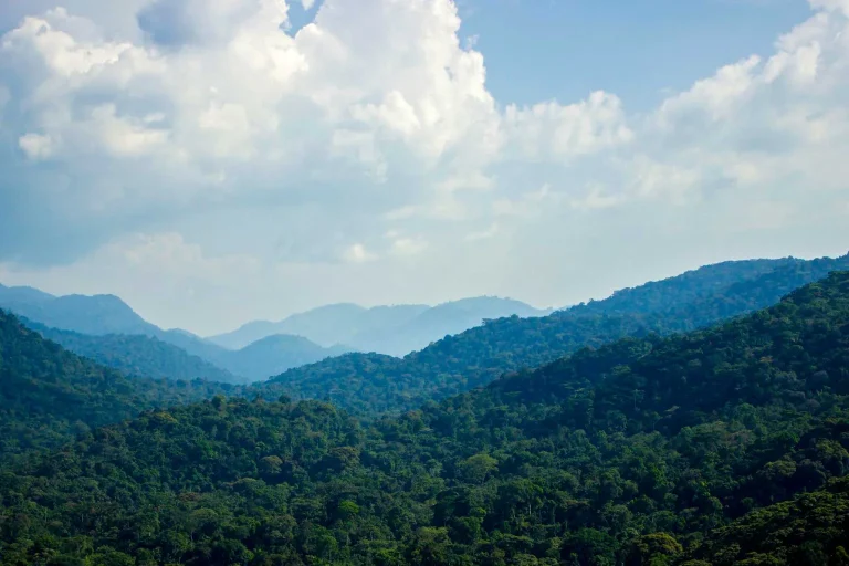 bwindi-landscape-1536x1024