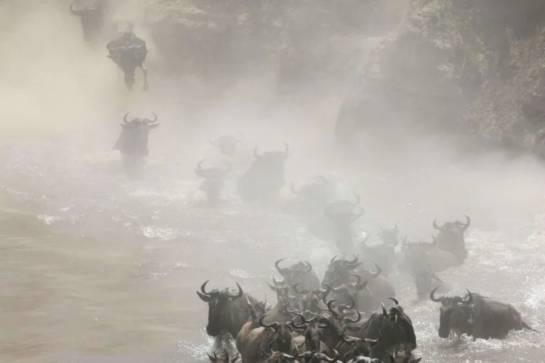 great-migration-kenya-jpg