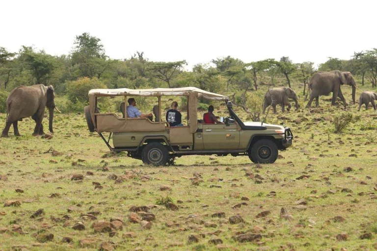 leopard-hill-camp-mara1