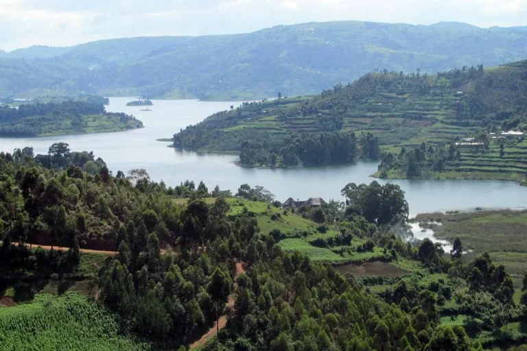 uganda-vegetation-landscape1